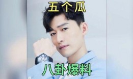 娱乐圈的吃瓜爆料有哪些,揭秘明星背后的故事与真相