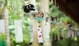 小乔爆料康康风铃视频大全,一场视觉与听觉的盛宴