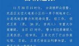 湖北教育爆料最新消息视频,视频揭示教育领域重大动态