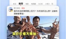 新角色爆料西瓜视频下载,揭秘神秘角色背后的故事