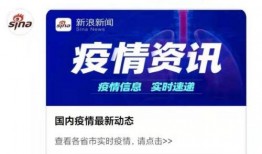 如何向新浪新闻爆料,轻松掌握信息传递技巧
