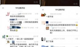 爆料的视频在哪里可以找,探寻爆款视频生成背后的奥秘