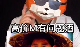 嘎子视频爆料,揭秘娱乐圈不为人知的幕后故事