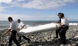 昆明海豚湾爆料事件最新,揭露背后惊人真相，动物福利争议再起