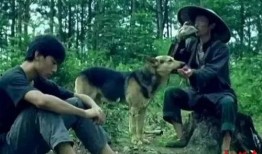 那人那山那狗在线观看,穿越山水，共赴心灵之旅