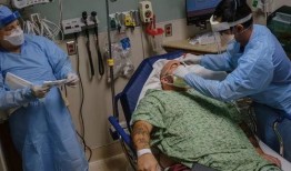 新冠肺病毒最新爆料,揭秘病毒变异与传播新趋势