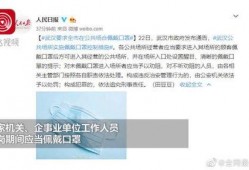 武汉最新爆料照片新闻,街头惊现神秘现象，真相令人震惊！