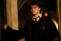 哈利波特最新爆料新发型,魔法世界潮流风向标