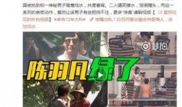 新澳六叔最新爆料消息视频,最新爆料视频深度解析
