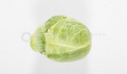 吃瓜照片配乐下载免费