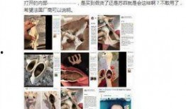 苏菲爆料名单大全视频,揭秘娱乐圈不为人知的秘密