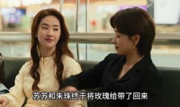 内娱姐弟恋爆料视频合集,明星恋情背后的甜蜜与争议