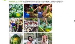 各大高校免费吃瓜链接,各大院校福利链接大汇总