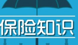 爆料保险知识大全最新