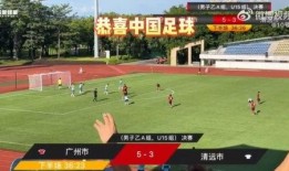 选手爆料假球视频播放,选手爆料假球视频引发热议