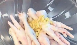 爆料鸡爪制作视频教程,跟随视频教程轻松学会美味鸡爪烹饪技巧