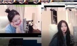 苏菲爆料名单大全视频,揭秘娱乐圈不为人知的秘密