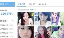 东北爆料女主播视频播放,视频播放量惊人揭秘