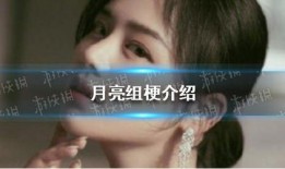 月亮组最新爆料,最新爆料背后的惊人真相