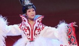 李玉刚爆料禅意视频大全,视频大全带你领略东方智慧