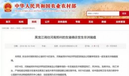盐城周一爆料最新消息,周一突发大事件，详情即将揭晓！
