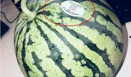 康熙网红吃瓜是谁,揭秘网络红人的幕后故事