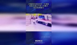 当地人的爆料视频,村民爆料视频曝光惊人真相