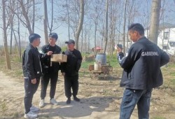 豫东周兵最新爆料,揭秘神秘事件背后真相