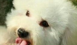 米小圈最新爆料