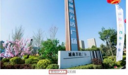 呼和浩特爆料最新新闻,突发事件引发社会关注
