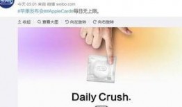 最新热点爆料视频合集,视频合集深度解析