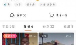 飞哥爆料视频在线观看免费,揭秘幕后真相