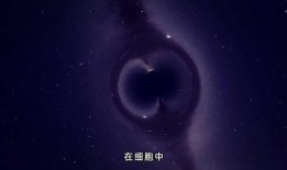 爆料宇宙真相视频下载,揭秘神秘视频背后的惊人秘密