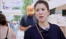 袁咏仪狗仔爆料视频播放,揭秘娱乐圈幕后真相