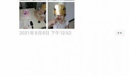 三岁女儿爆料视频播放,家庭生活幕后花絮大曝光