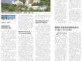 齐鲁晚报新闻爆料,揭秘某事件背后真相