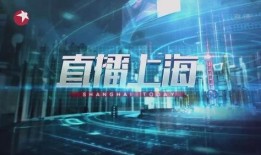 上海卫视直播在线观看高清,尽享高清视听盛宴