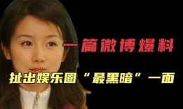 爆料娱乐圈黑暗内幕,暗流涌动的黑暗内幕曝光