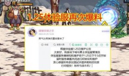 ss 12手册最新爆料