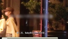 袁咏仪狗仔爆料视频播放,揭秘娱乐圈幕后真相