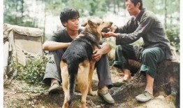那人那山那狗在线观看,穿越山水，共赴心灵之旅