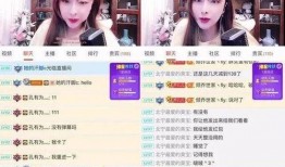 东北爆料女主播视频播放,视频播放量惊人揭秘