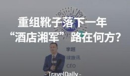 静流最新爆料新闻,最新爆料事件背后的真相与内幕