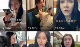 韩圈爆料李泰民事件视频,揭秘韩圈风云再起
