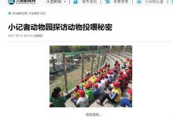 大连新闻爆料人是谁啊最新消息,最新消息追踪”
